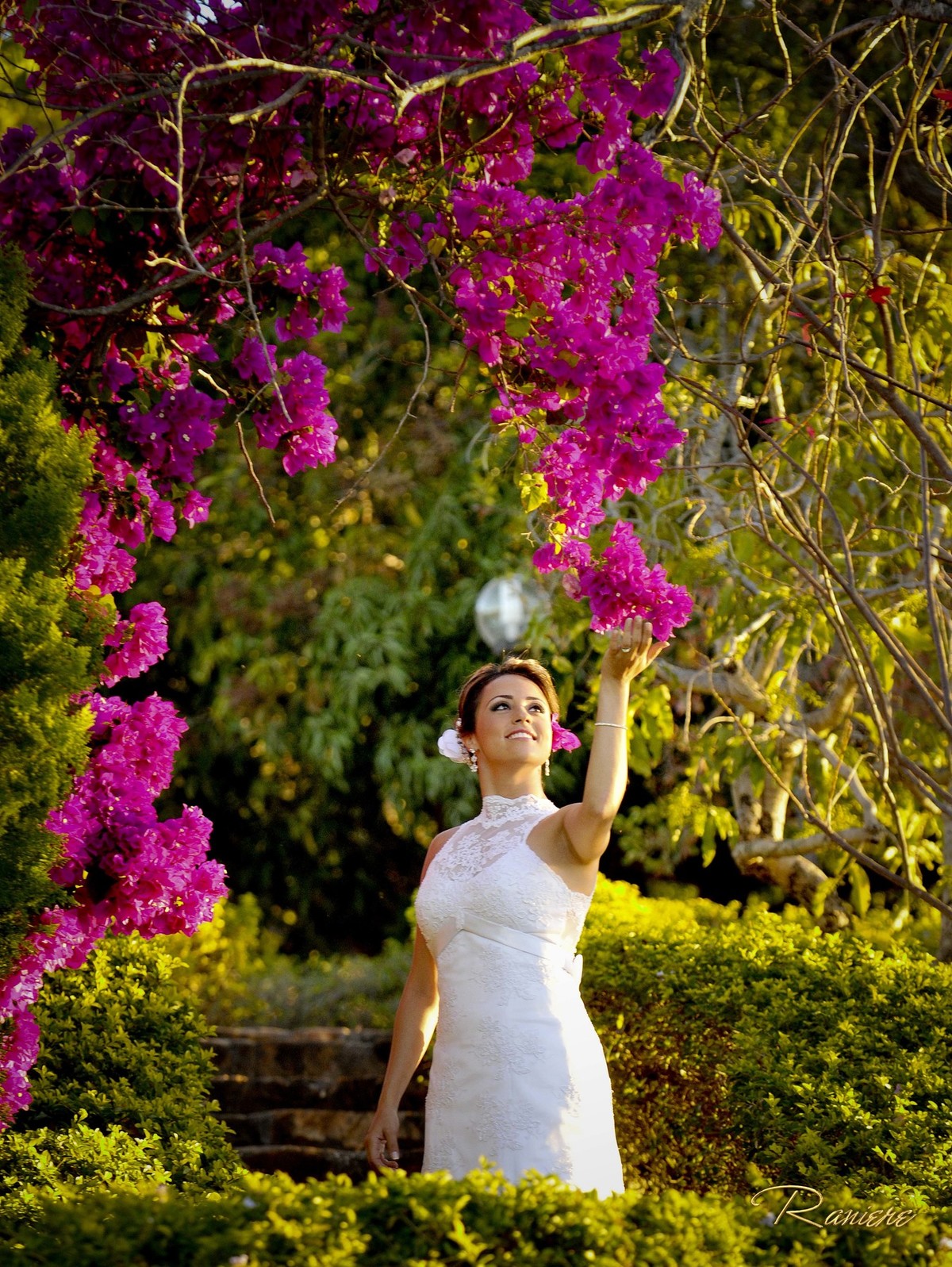 imagem istituto israel pinheiro