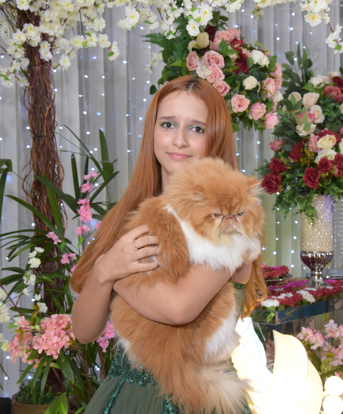 Book de 15  Anos