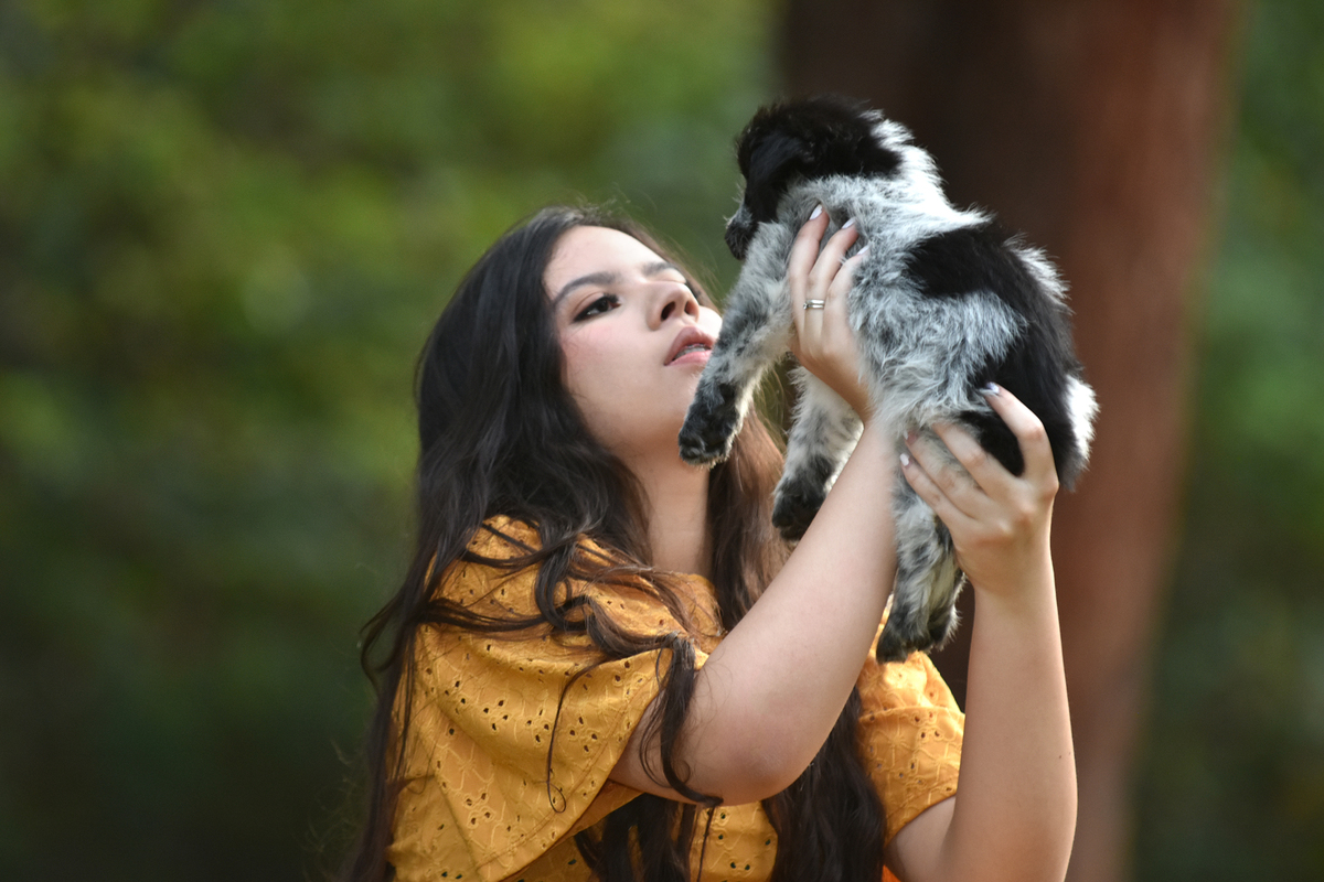 Ensaio fotográfico com pet