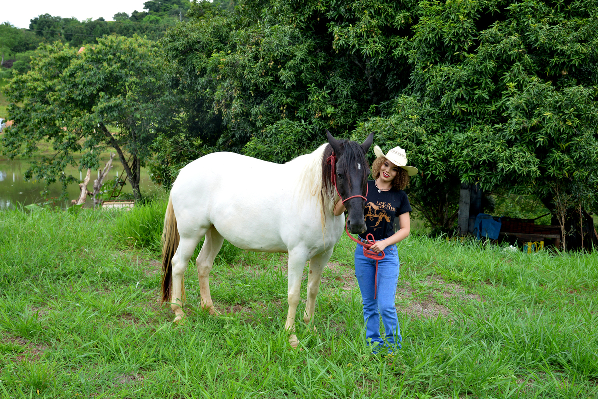 Fotos com Cavalos