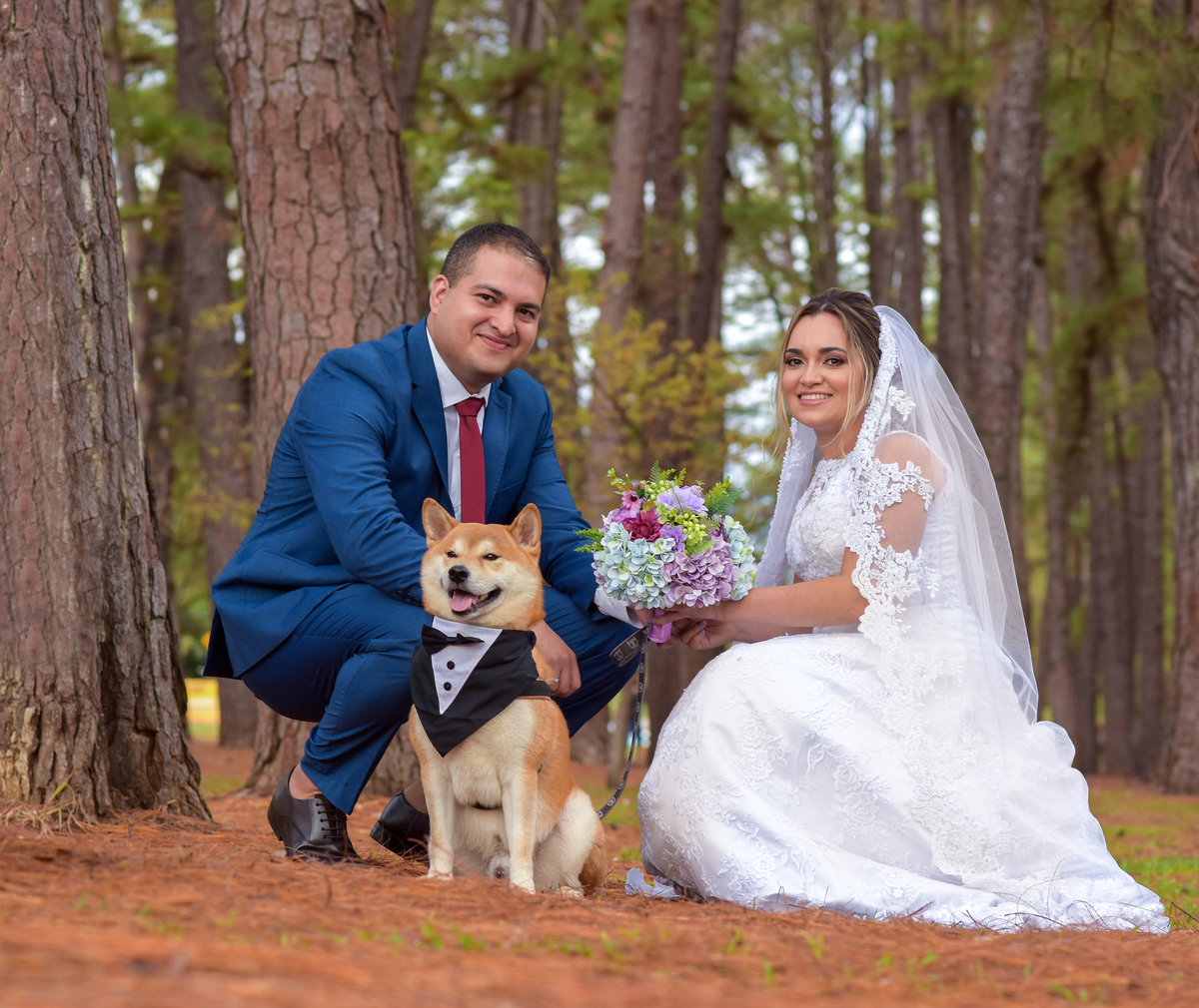 Ensaio pre wedding com Pet