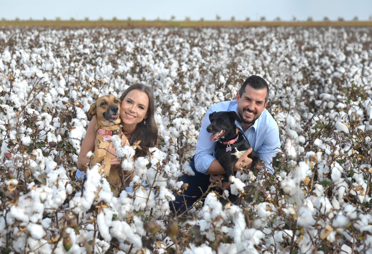 Ensaio fotográfico no campo de Algodão