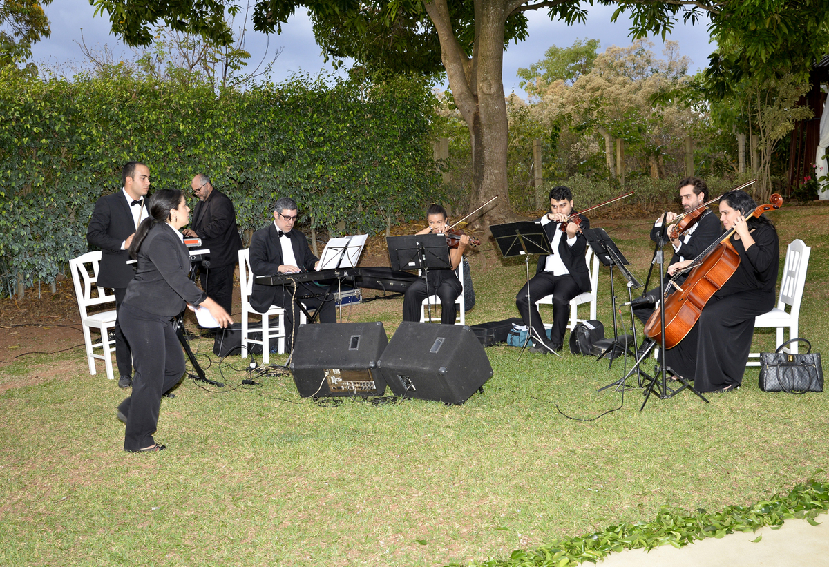 Músicos de Casamento