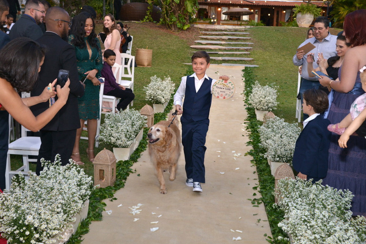 pet entrando com as alianças de casamento