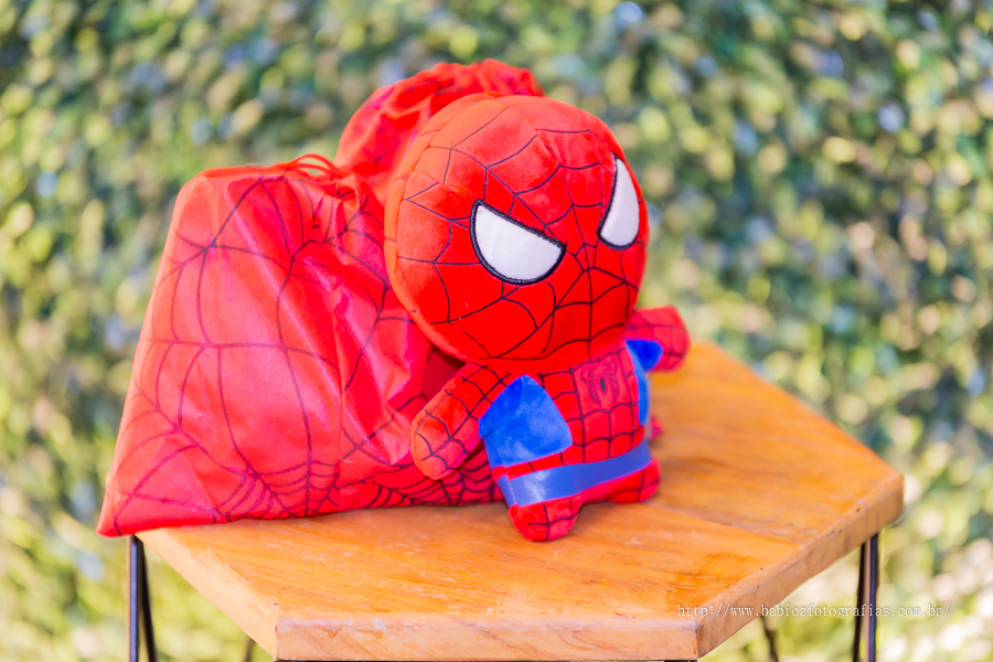 Festa de aniversario infantil do Lucca, com uma decoracao festa linda homem aranha spider-man na cidade de Maringa pela fotografa Rose Babicz no buffet fabula maringa