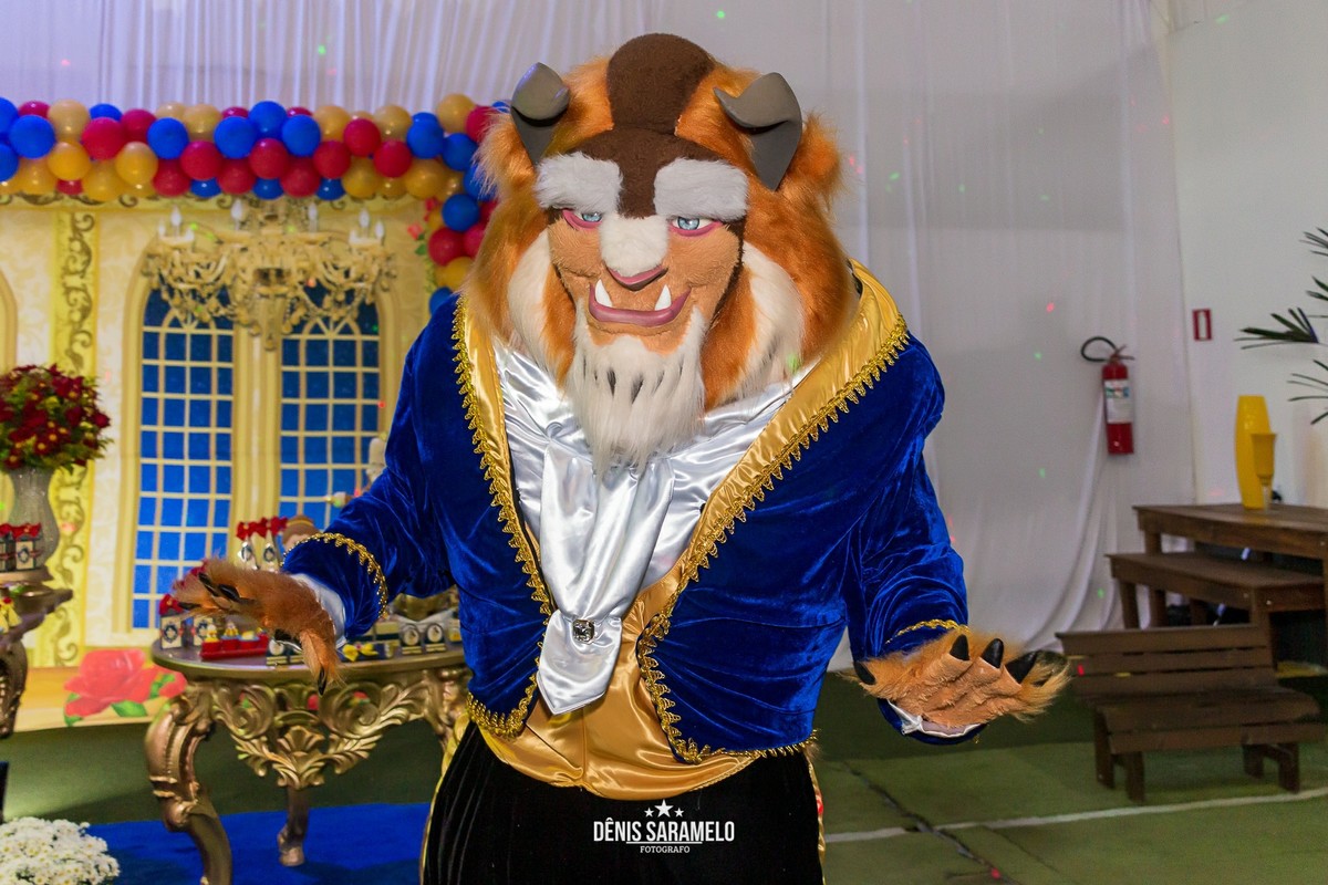 Fotografo Dênis Saramelo Aniversario Infantil Salão de Festas Allana - 6 Anos