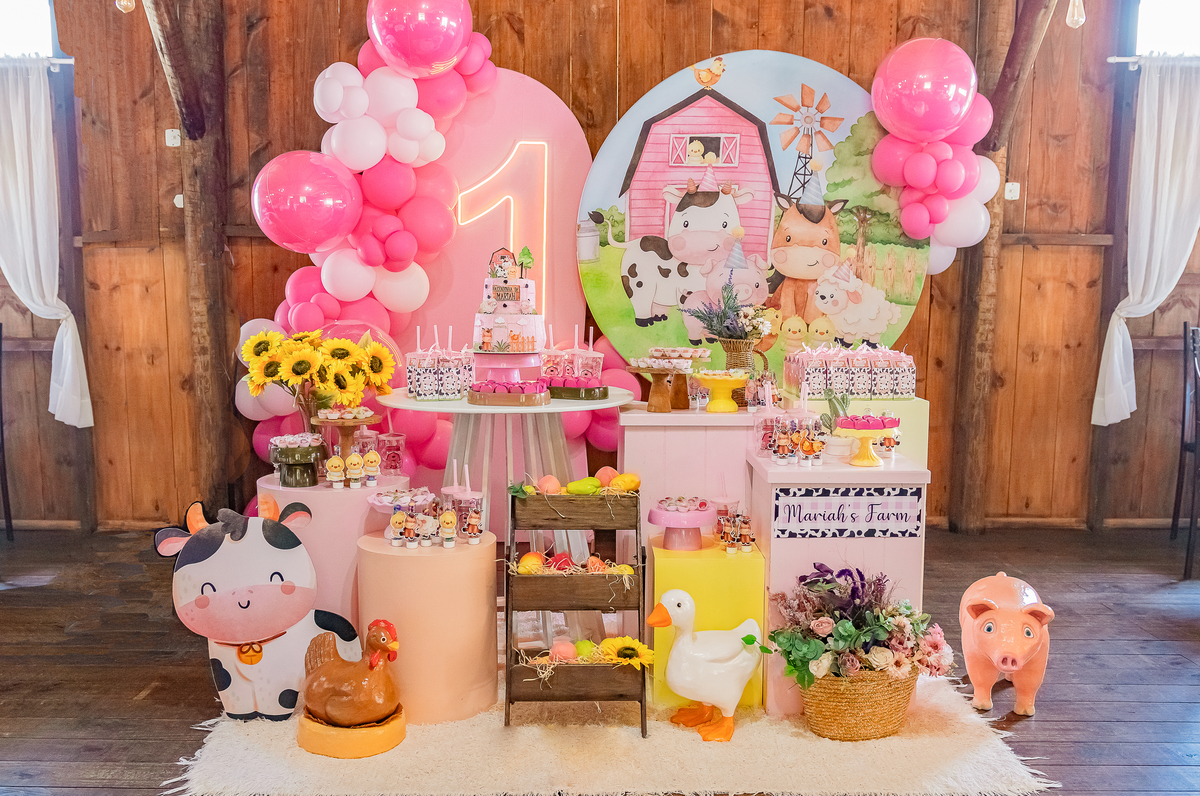 Decoração da fazendinha