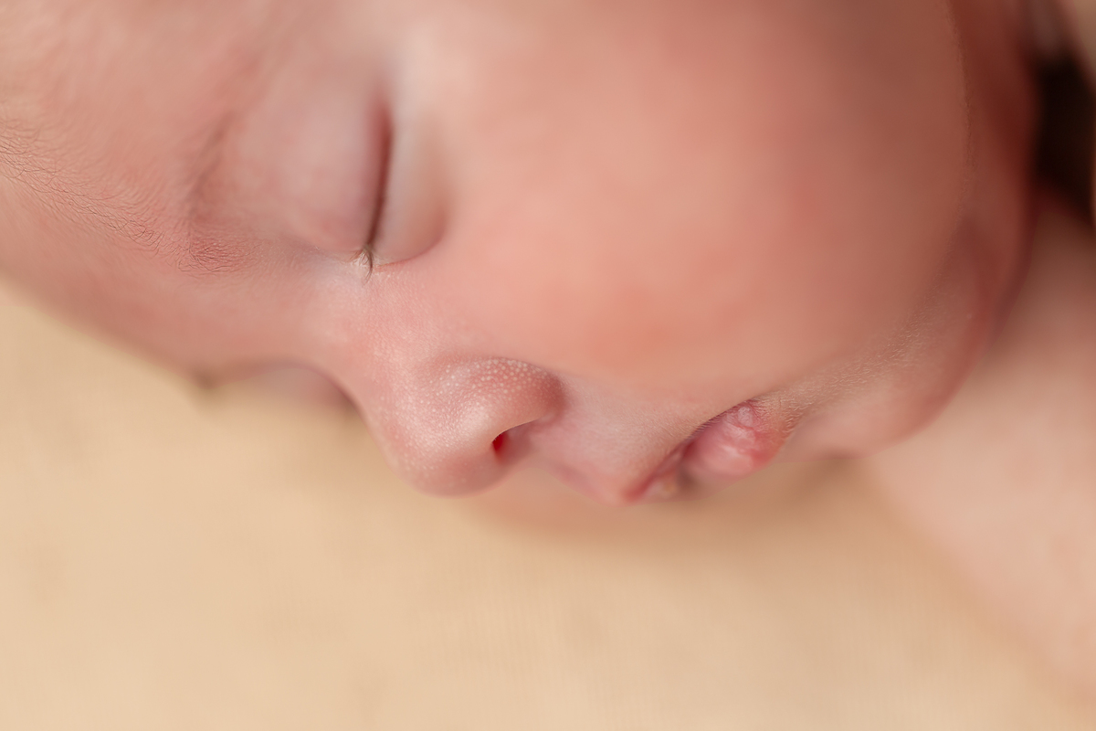 Fotografia newborn , detalhes