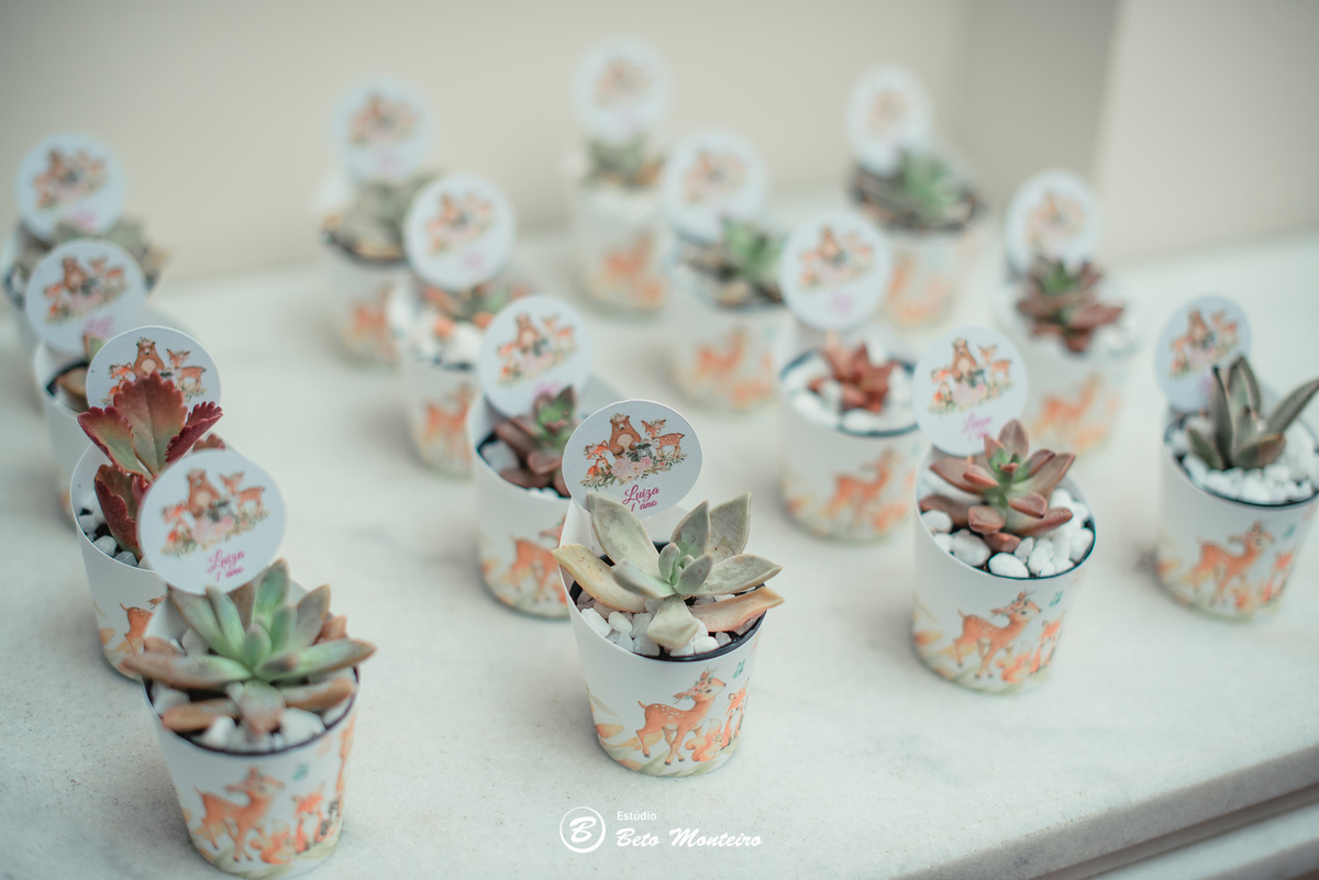 Aniversário infantil - festa infantil - tema floresta - sessão infantil - aniversário Luiza - festa de aniversário - primeiro aninho - primeiro aninho da Luiza