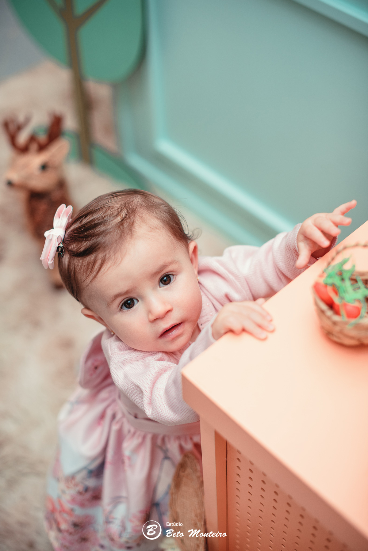 Aniversário infantil - festa infantil - tema floresta - sessão infantil - aniversário Luiza - festa de aniversário - primeiro aninho - primeiro aninho da Luiza