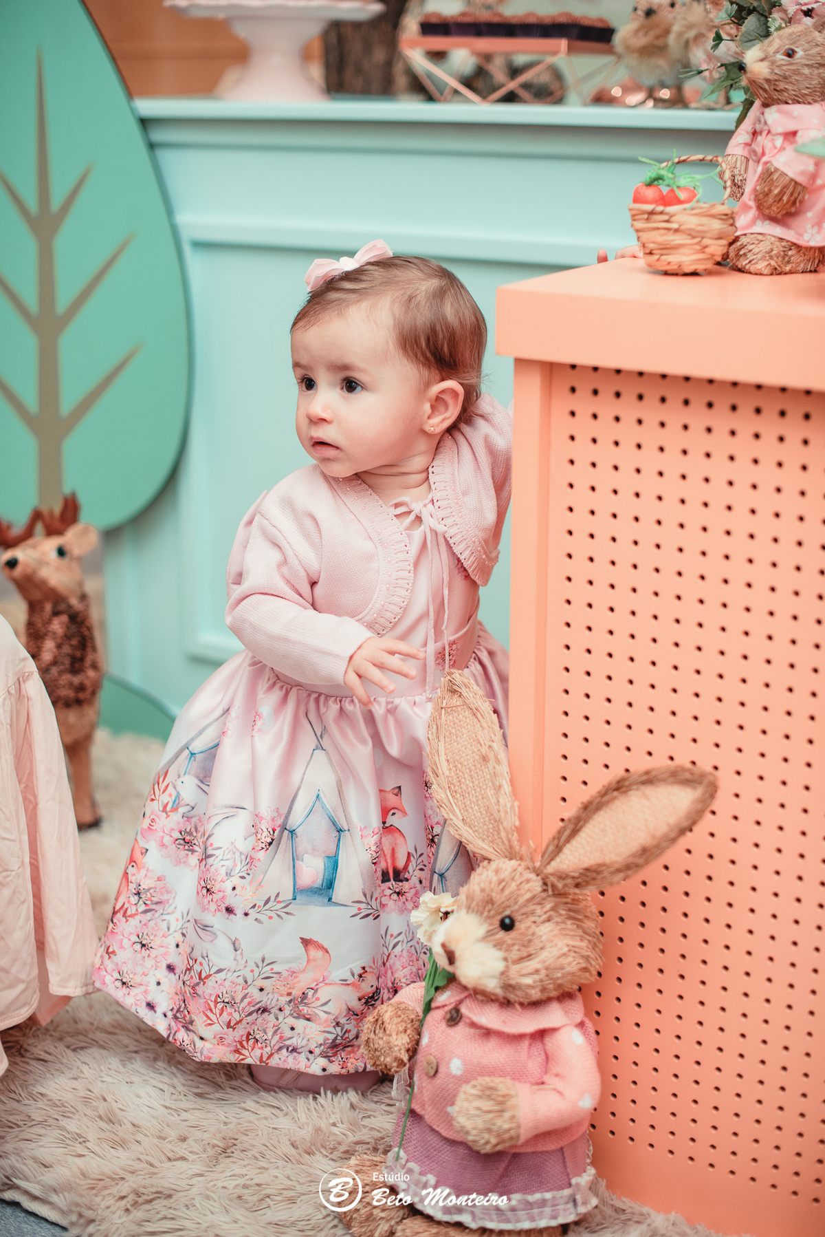 Aniversário infantil - festa infantil - tema floresta - sessão infantil - aniversário Luiza - festa de aniversário - primeiro aninho - primeiro aninho da Luiza