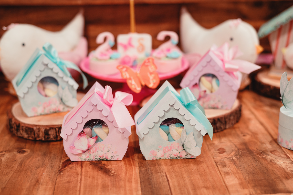 aniversário infantil - aniversário 2 anos - segundo aninho - acompanhamento - festa de aniversário - buffet lipe e gabi - segundo ano da Sarah