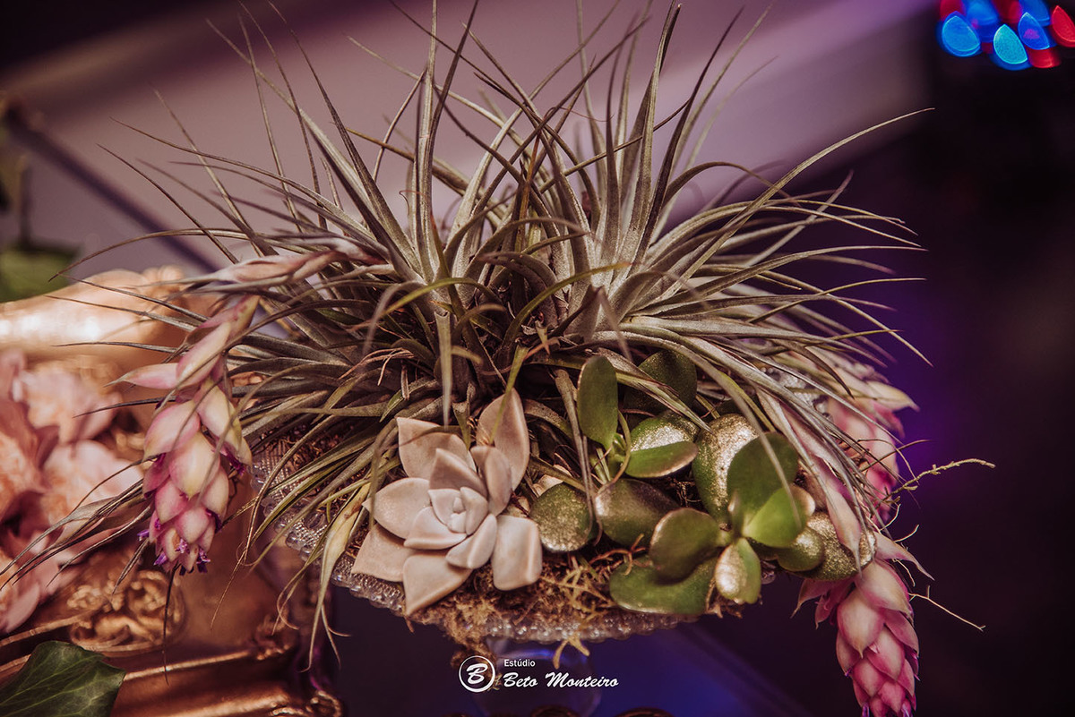 Casamento - Pré-Casamento - Pré-wedding - Trash the dress - Book de casal - Sessão de noivos - Estúdio Beto Monteiro - Curitiba - Deucher Hall - Buffet Deucher - Patricia Stocco e Thomas Maurilio - fotografo de casamento