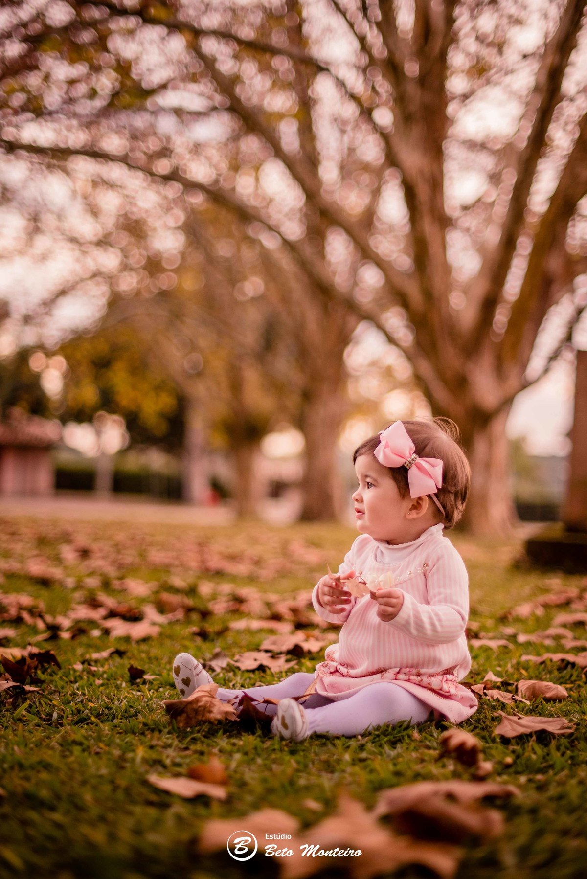 Book fotográfico Infantil - Book de fotos - Book de Criança - Book de Bebê - Book Menina - Book Menino - Estúdio Beto Monteiro - Curitiba - outono - haras - familia