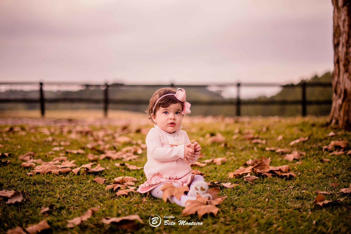 Book fotográfico Infantil - Book de fotos - Book de Criança - Book de Bebê - Book Menina - Book Menino - Estúdio Beto Monteiro - Curitiba - outono - haras - familia