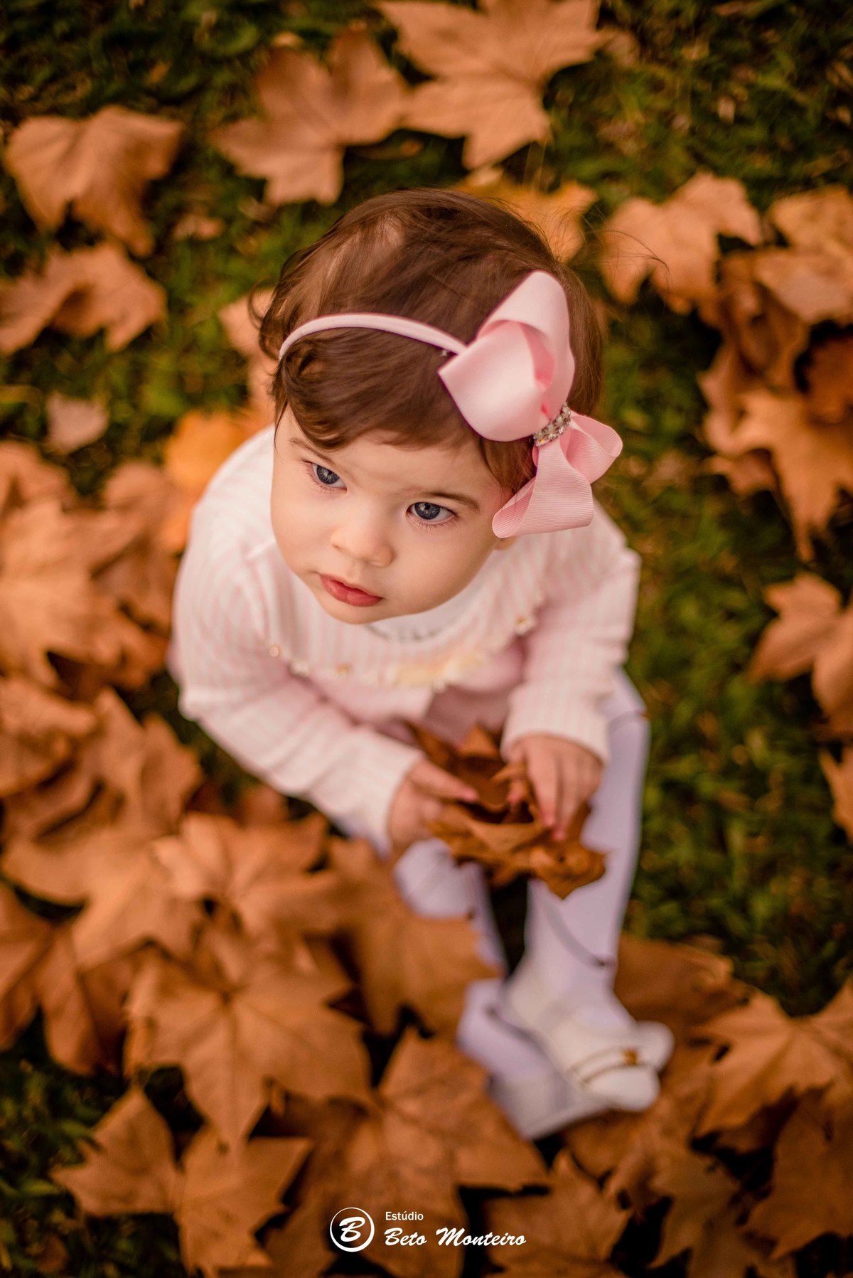 Book fotográfico Infantil - Book de fotos - Book de Criança - Book de Bebê - Book Menina - Book Menino - Estúdio Beto Monteiro - Curitiba - outono - haras - familia