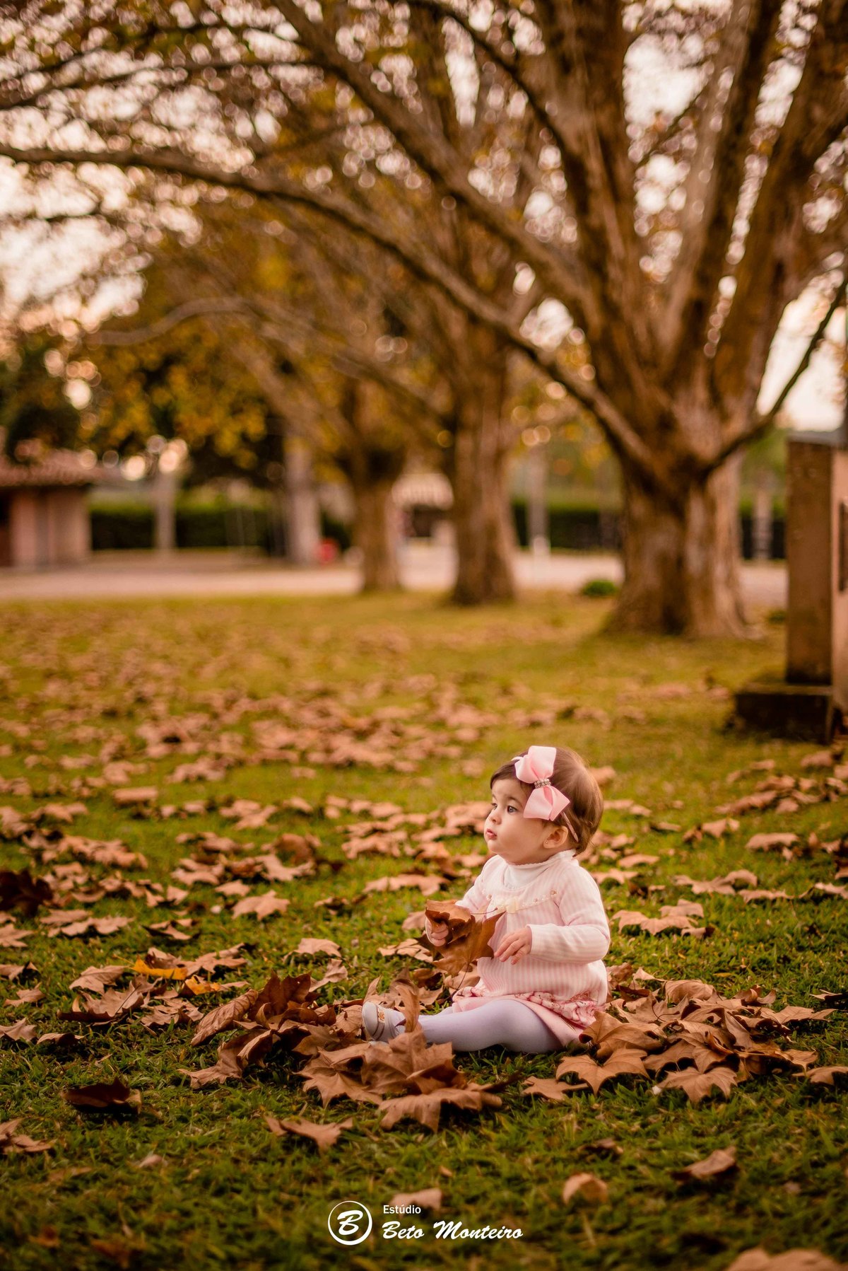 Book fotográfico Infantil - Book de fotos - Book de Criança - Book de Bebê - Book Menina - Book Menino - Estúdio Beto Monteiro - Curitiba - outono - haras - familia