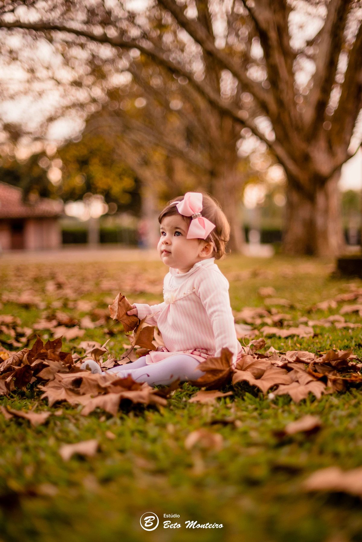 Book fotográfico Infantil - Book de fotos - Book de Criança - Book de Bebê - Book Menina - Book Menino - Estúdio Beto Monteiro - Curitiba - outono - haras - familia