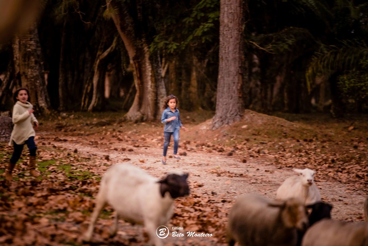 Book fotográfico Infantil - Book de fotos - Book de Criança - Book de Bebê - Book Menina - Book Menino - Estúdio Beto Monteiro - Curitiba - outono - haras - familia