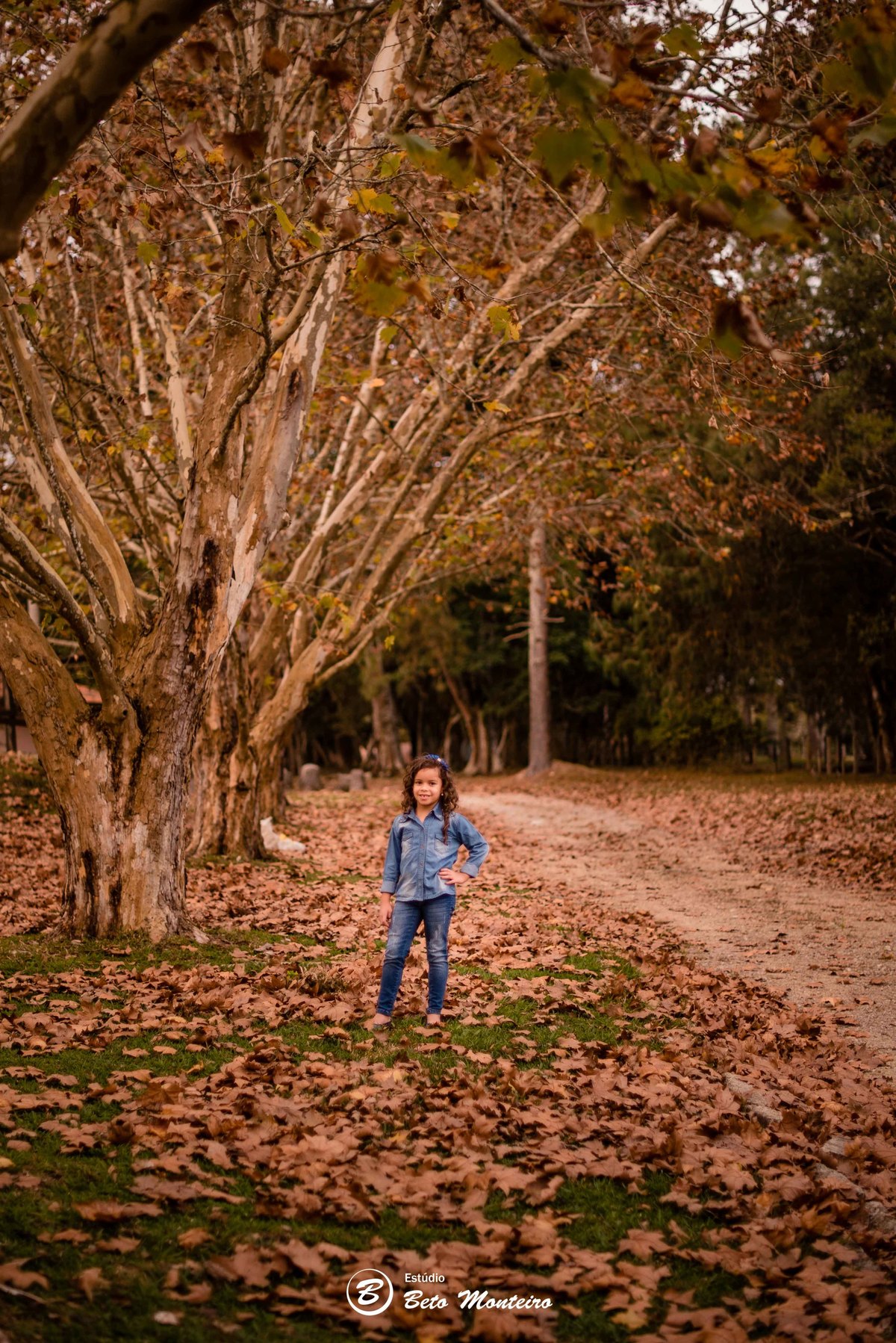 Book fotográfico Infantil - Book de fotos - Book de Criança - Book de Bebê - Book Menina - Book Menino - Estúdio Beto Monteiro - Curitiba - outono - haras - familia