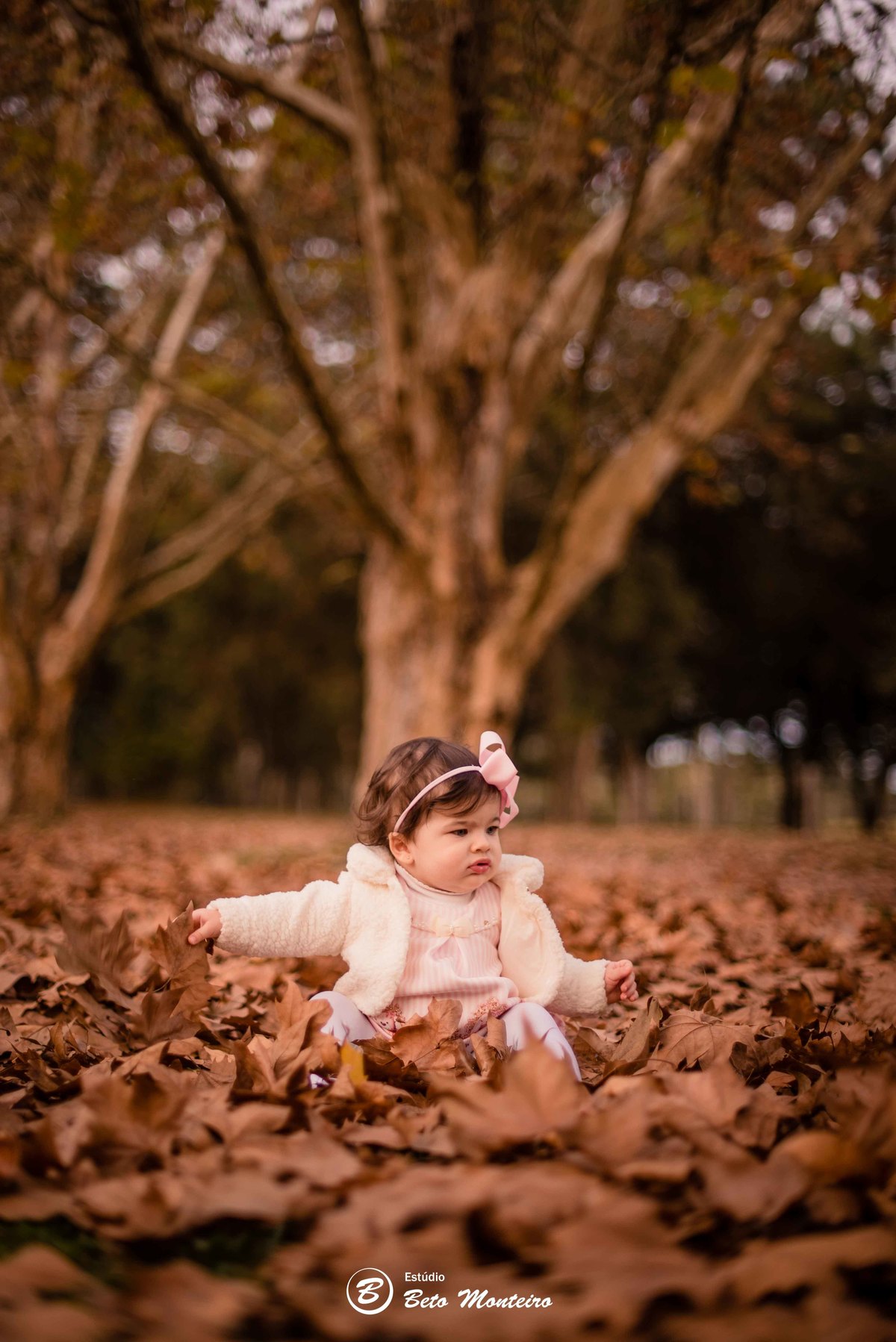 Book fotográfico Infantil - Book de fotos - Book de Criança - Book de Bebê - Book Menina - Book Menino - Estúdio Beto Monteiro - Curitiba - outono - haras - familia