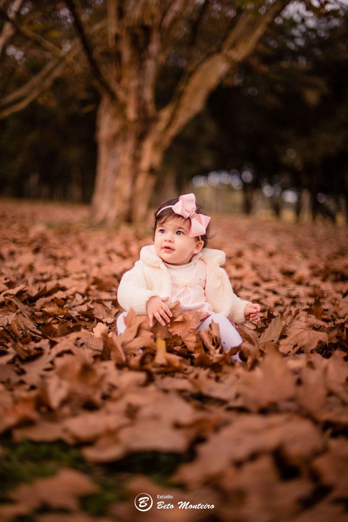 Book fotográfico Infantil - Book de fotos - Book de Criança - Book de Bebê - Book Menina - Book Menino - Estúdio Beto Monteiro - Curitiba - outono - Book fotográfico Infantil - Book de fotos - Book de Criança - Book de Bebê - Book Menina - haras - familia