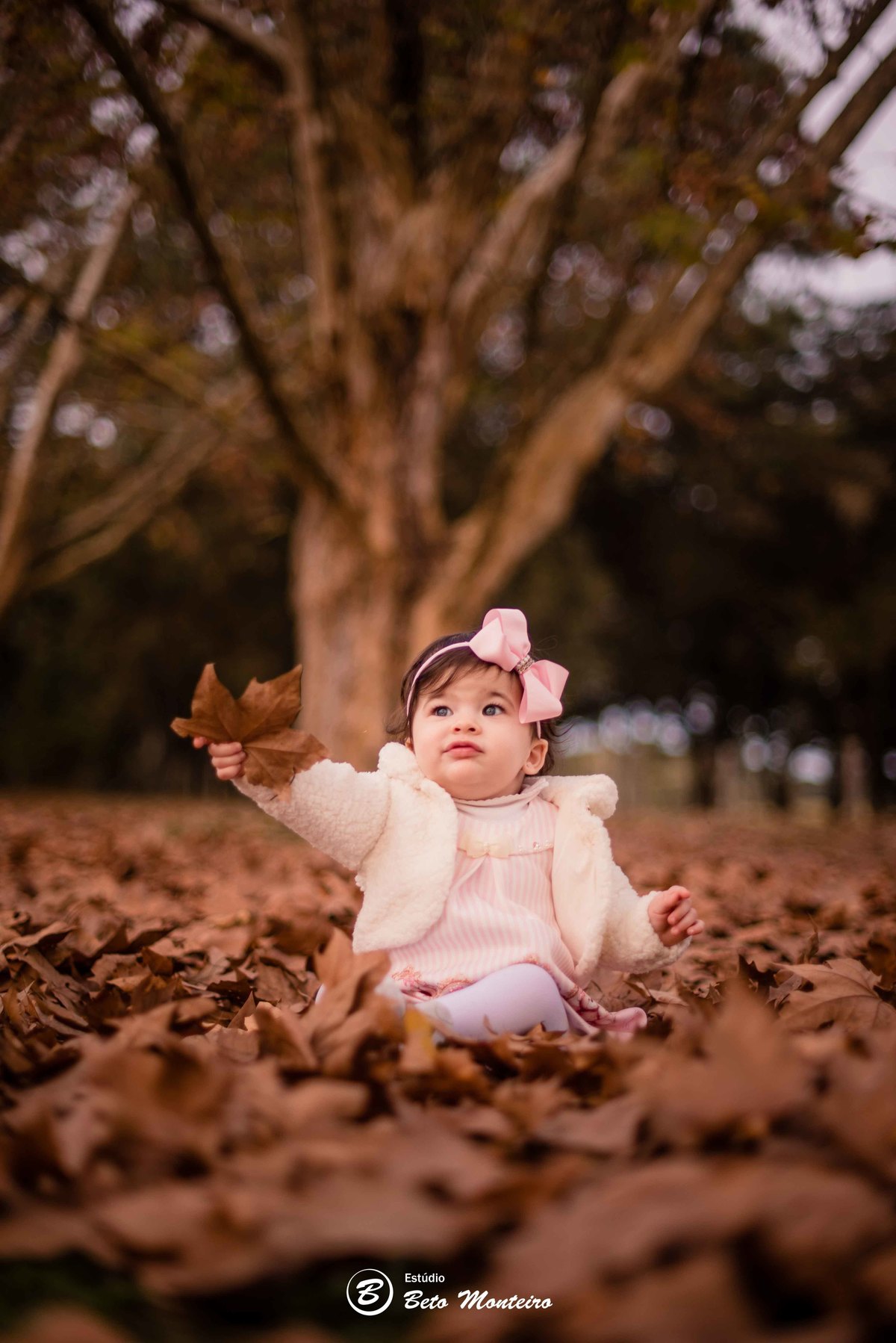 Book fotográfico Infantil - Book de fotos - Book de Criança - Book de Bebê - Book Menina - Book Menino - Estúdio Beto Monteiro - Curitiba - outono - haras - familia