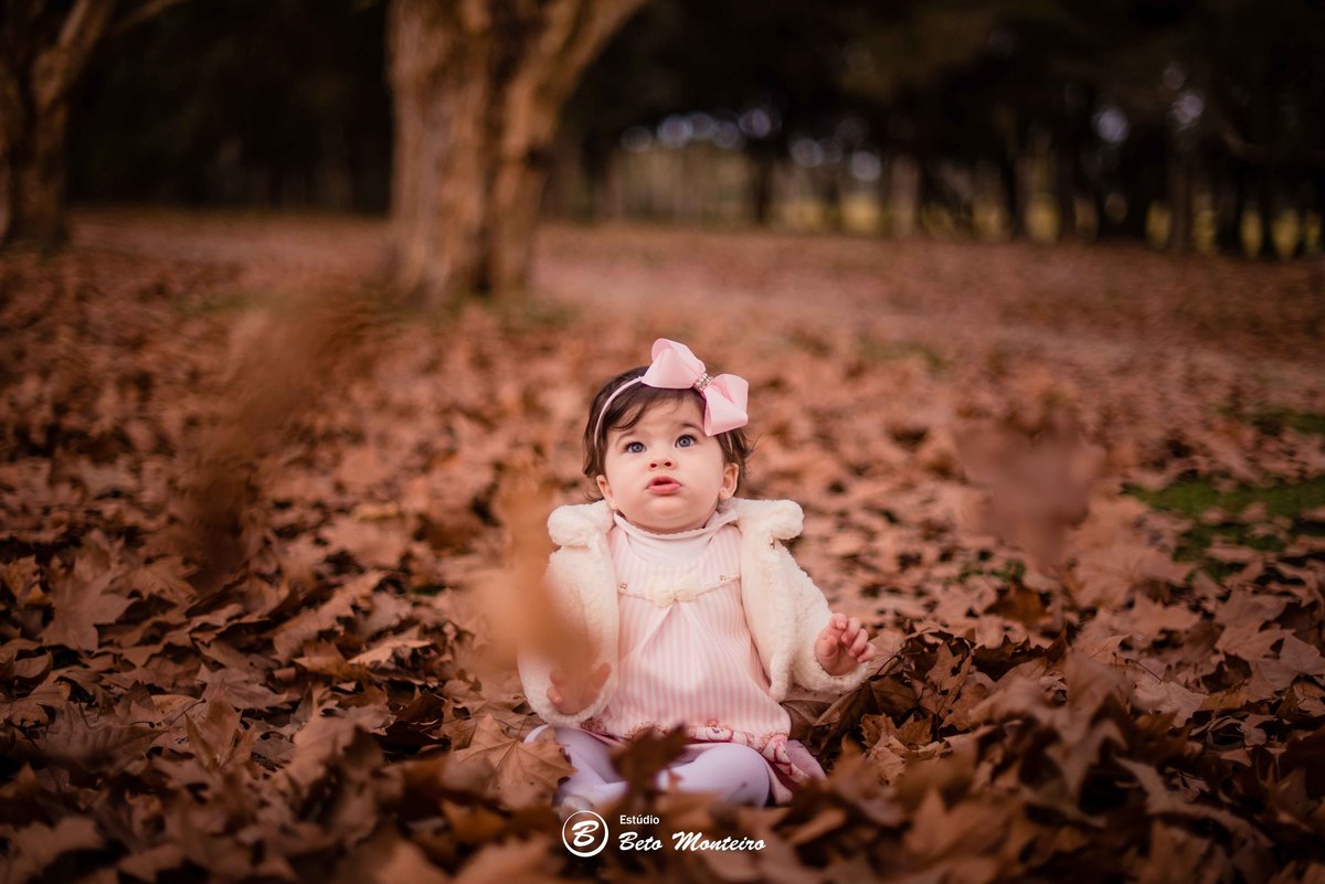 Book fotográfico Infantil - Book de fotos - Book de Criança - Book de Bebê - Book Menina - Book Menino - Estúdio Beto Monteiro - Curitiba - outono - haras - familia