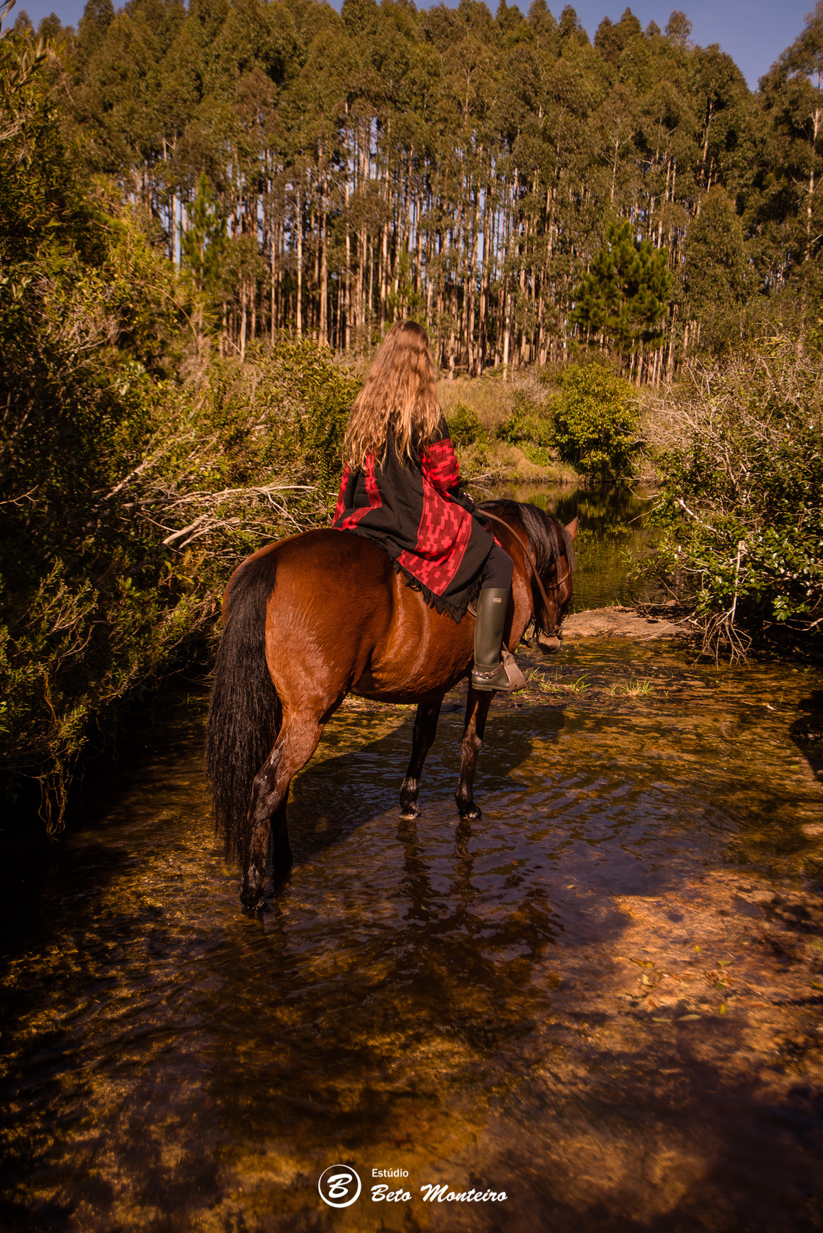 Book de fotos - Estúdio Beto Monteiro - Curitiba - book família - lifestyle - cavalo - cavalgada - sessão de fotos família - familia - sao luiz do puruna - rancho ventania - balsa nova - Luciana Tavora