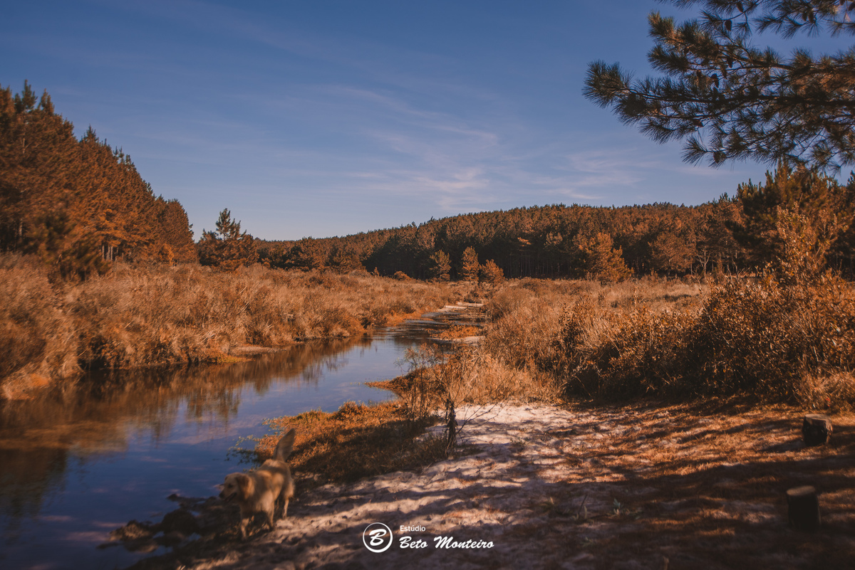 Book de fotos - Estúdio Beto Monteiro - Curitiba - book família - lifestyle - cavalo - cavalgada - sessão de fotos família - familia - sao luiz do puruna - rancho ventania - balsa nova - Luciana Tavora