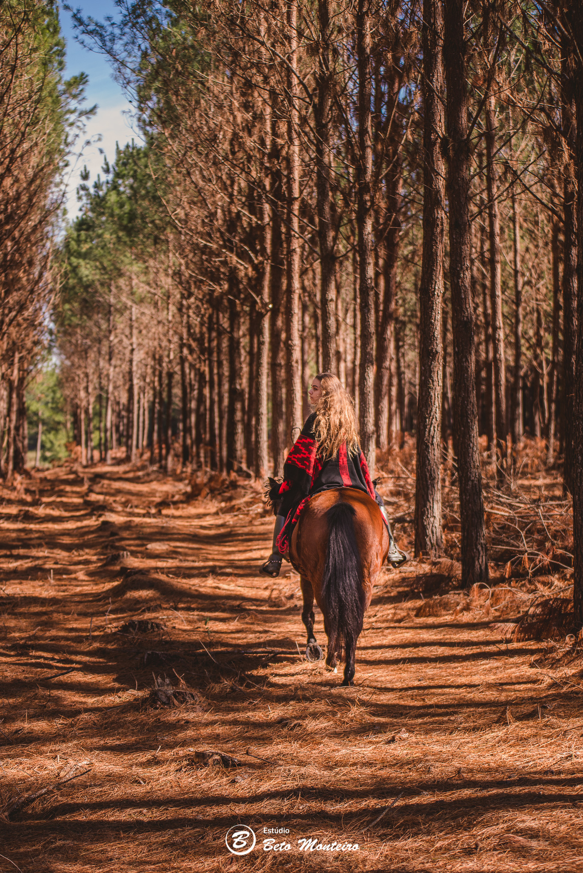 Book de fotos - Estúdio Beto Monteiro - Curitiba - book família - lifestyle - cavalo - cavalgada - sessão de fotos família - familia - sao luiz do puruna - rancho ventania - balsa nova - Luciana Tavora