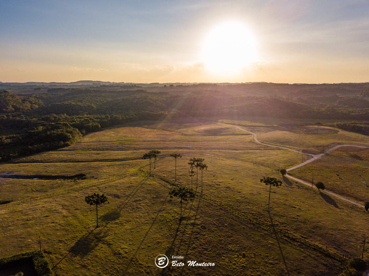 haras - cabanha matoski - foto de cavalo - empresarial - corporativo - drone - empresa de drone - foto de drone - curitiba - sao jose dos pinhais 
