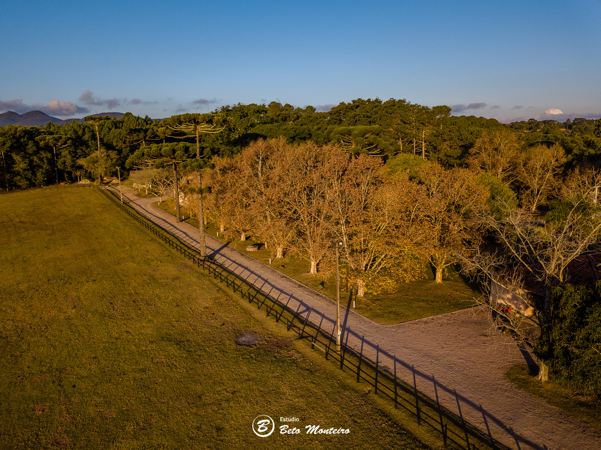 haras - cabanha matoski - foto de cavalo - empresarial - corporativo - drone - empresa de drone - foto de drone - curitiba - sao jose dos pinhais 