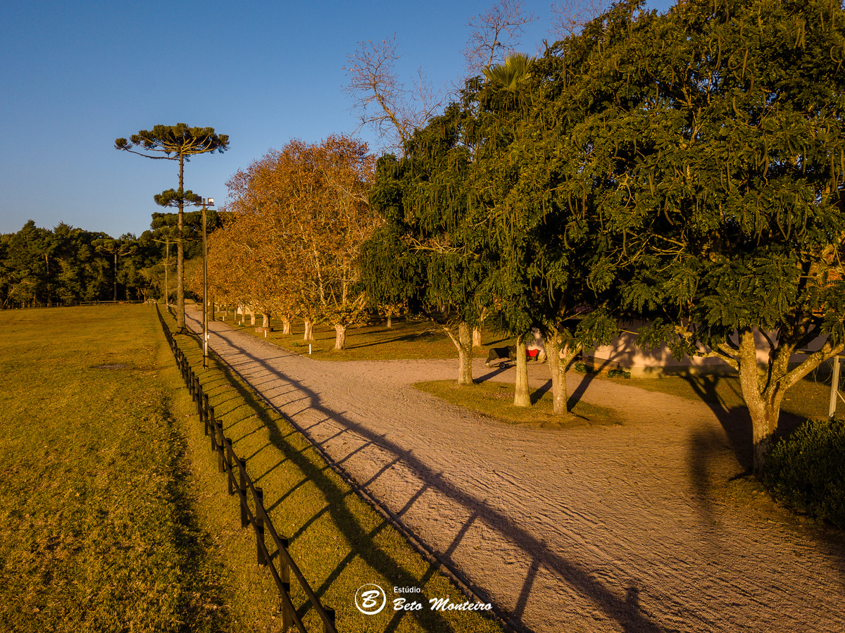 haras - cabanha matoski - foto de cavalo - empresarial - corporativo - drone - empresa de drone - foto de drone - curitiba - sao jose dos pinhais 