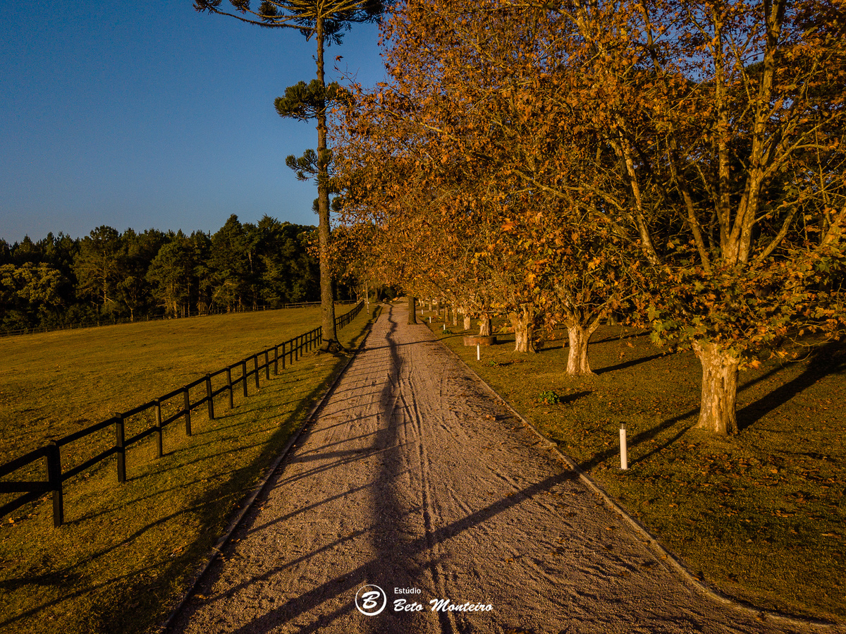 haras - cabanha matoski - foto de cavalo - empresarial - corporativo - drone - empresa de drone - foto de drone - curitiba - sao jose dos pinhais 