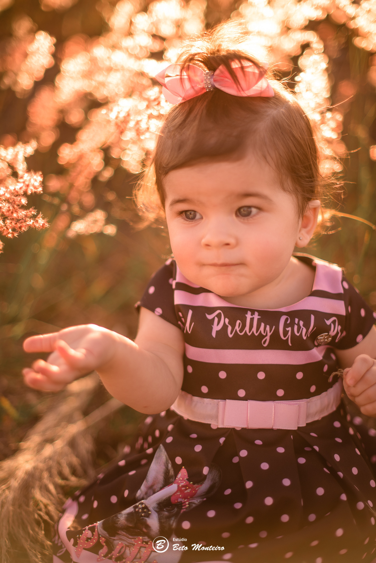 Book fotográfico Infantil - Book de fotos - Book de Criança - Book de Bebê - Book Menina - Book Menino - Estúdio Beto Monteiro - Curitiba - book família - lifestyle - matinho - por do sol - isabela - criança feliz