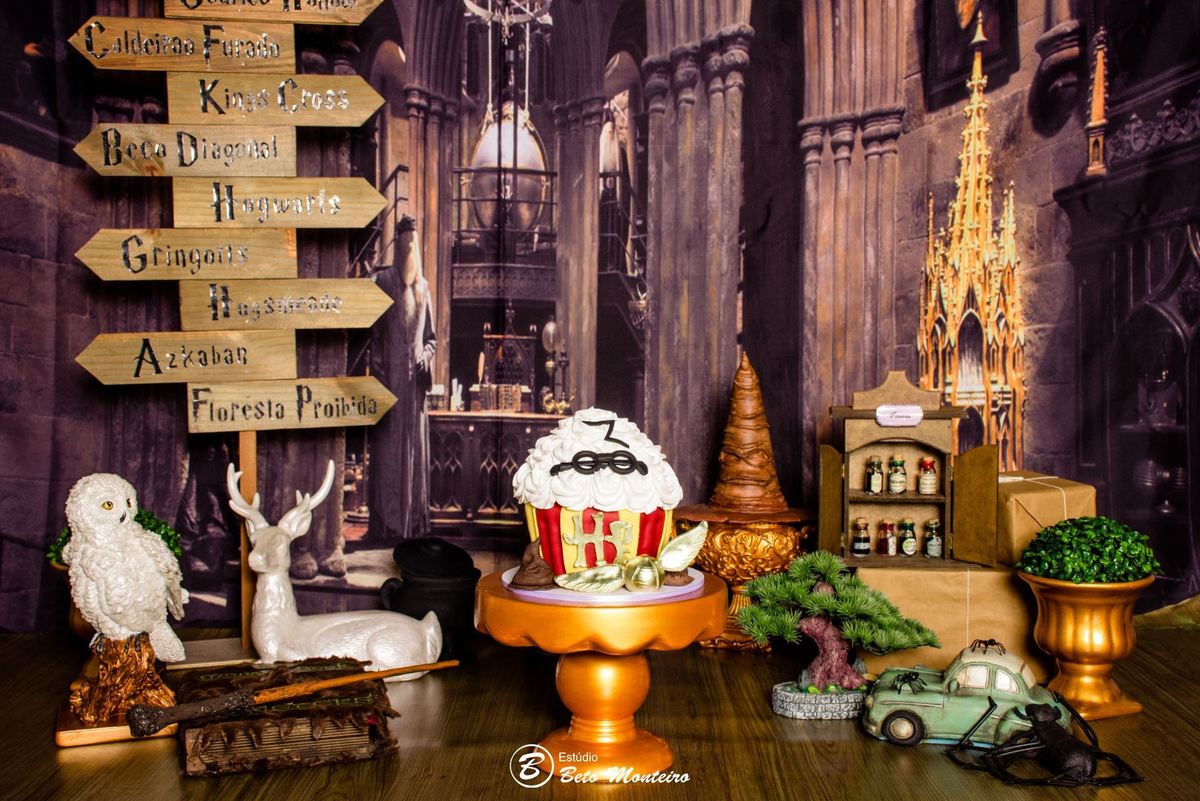 Book fotográfico Infantil - Book de fotos - Book de Criança - Book de Bebê - Book Menina - Book Menino - Book 1 ano -Estúdio Beto Monteiro - Curitiba - smash the cake - harry potter - Noah