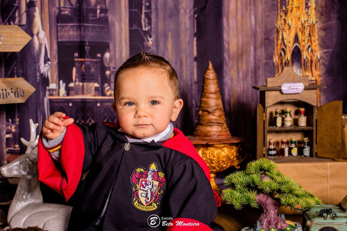 Book fotográfico Infantil - Book de fotos - Book de Criança - Book de Bebê - Book Menina - Book Menino - Book 1 ano -Estúdio Beto Monteiro - Curitiba - smash the cake - harry potter - Noah