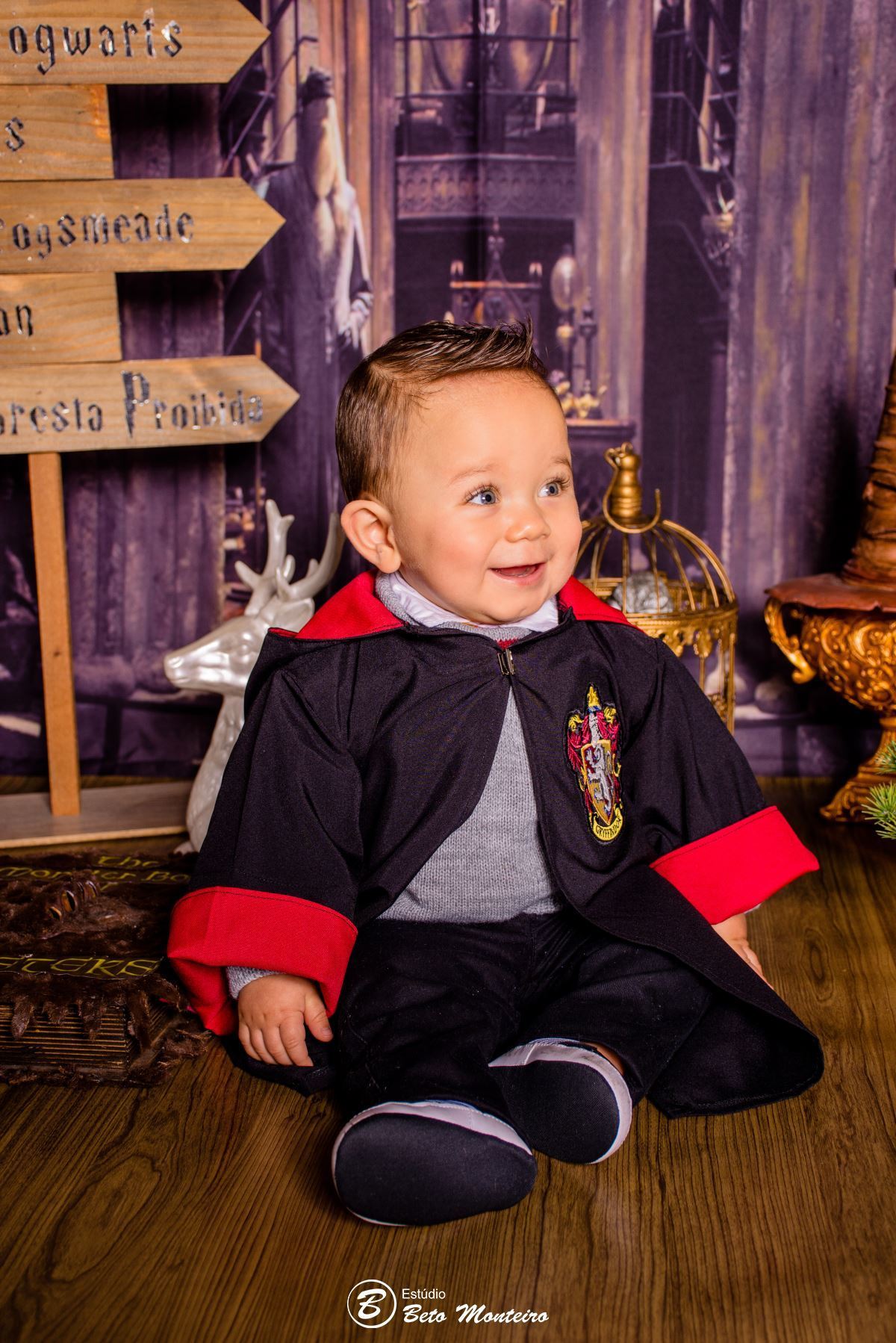 Book fotográfico Infantil - Book de fotos - Book de Criança - Book de Bebê - Book Menina - Book Menino - Book 1 ano -Estúdio Beto Monteiro - Curitiba - smash the cake - harry potter - Noah