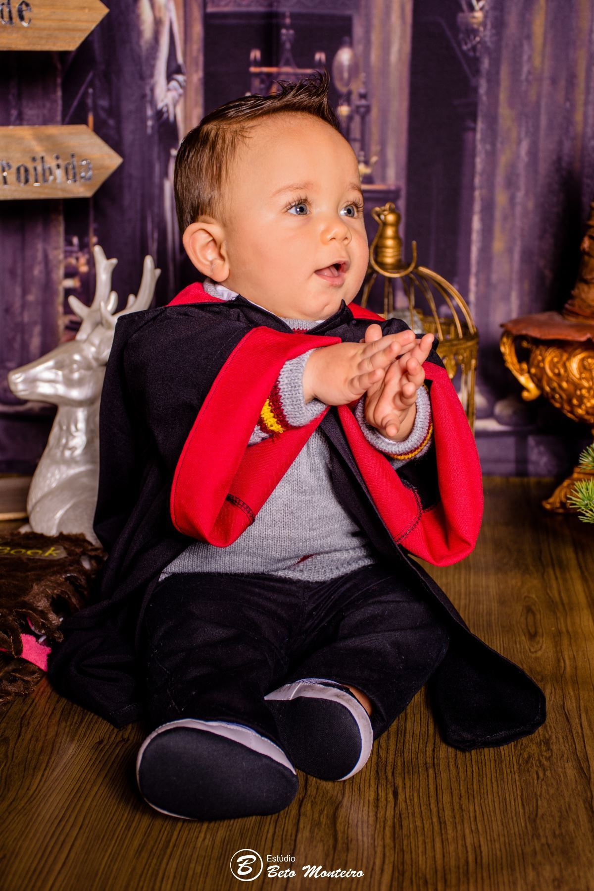 Book fotográfico Infantil - Book de fotos - Book de Criança - Book de Bebê - Book Menina - Book Menino - Book 1 ano -Estúdio Beto Monteiro - Curitiba - smash the cake - harry potter - Noah