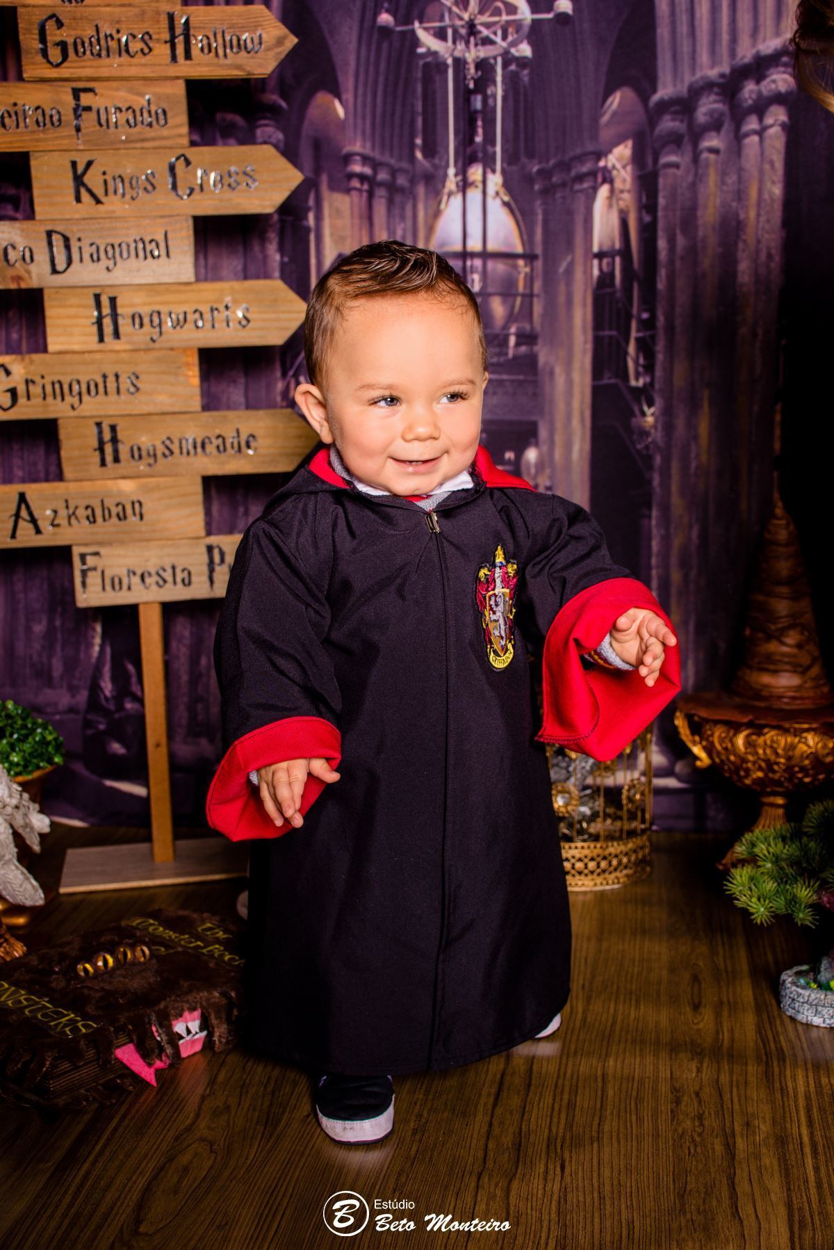 Book fotográfico Infantil - Book de fotos - Book de Criança - Book de Bebê - Book Menina - Book Menino - Book 1 ano -Estúdio Beto Monteiro - Curitiba - smash the cake - harry potter - Noah