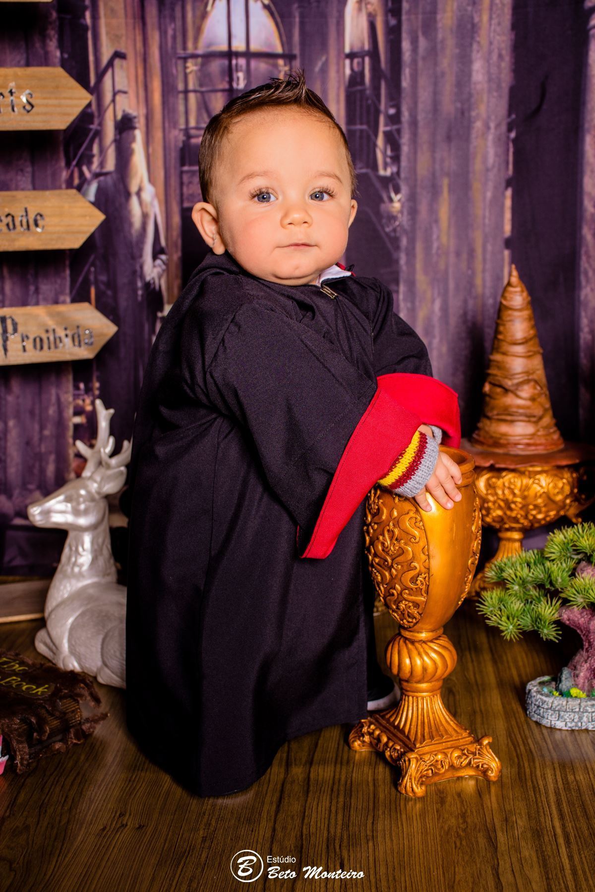 Book fotográfico Infantil - Book de fotos - Book de Criança - Book de Bebê - Book Menina - Book Menino - Book 1 ano -Estúdio Beto Monteiro - Curitiba - smash the cake - harry potter - Noah