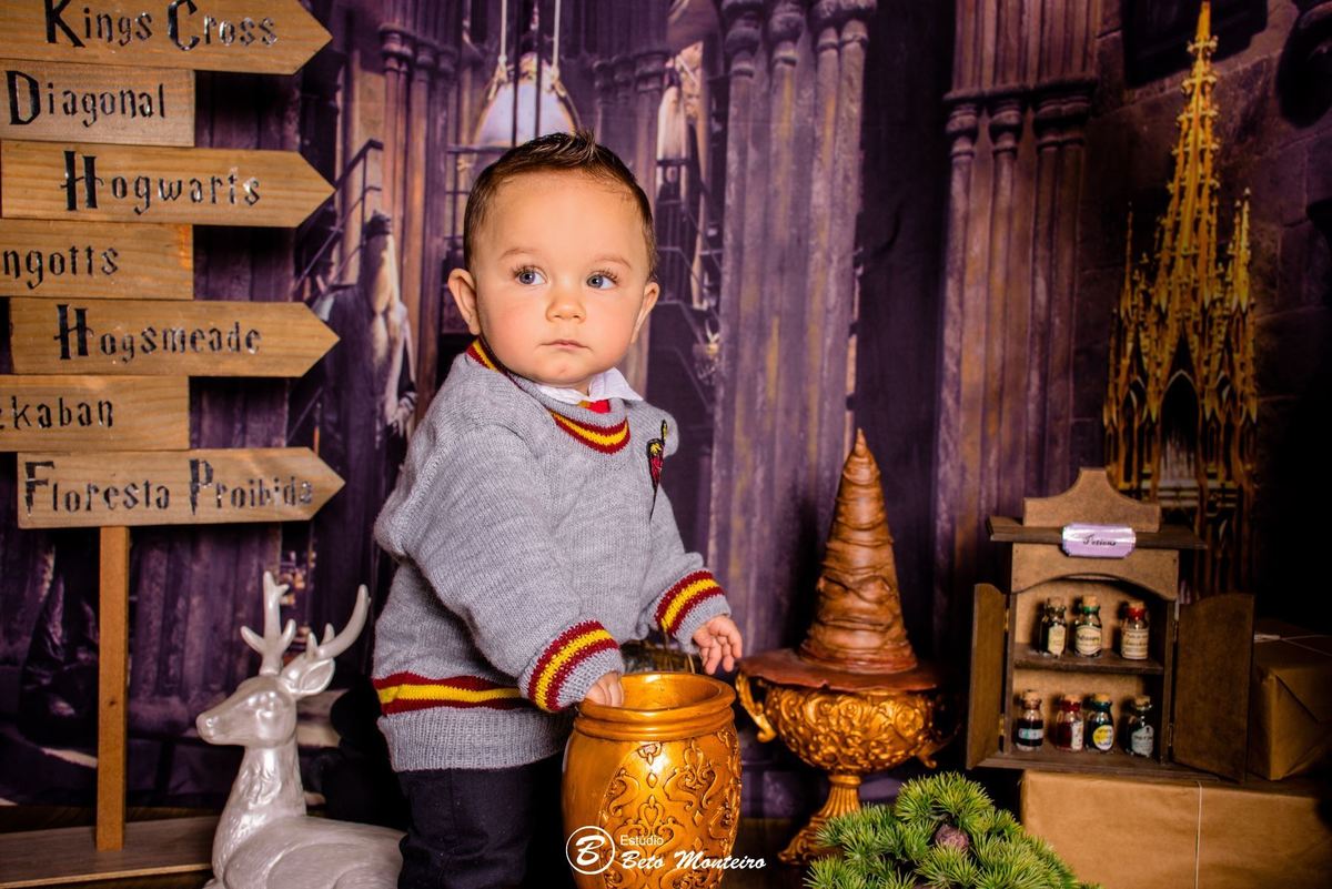 Book fotográfico Infantil - Book de fotos - Book de Criança - Book de Bebê - Book Menina - Book Menino - Book 1 ano -Estúdio Beto Monteiro - Curitiba - smash the cake - harry potter - Noah