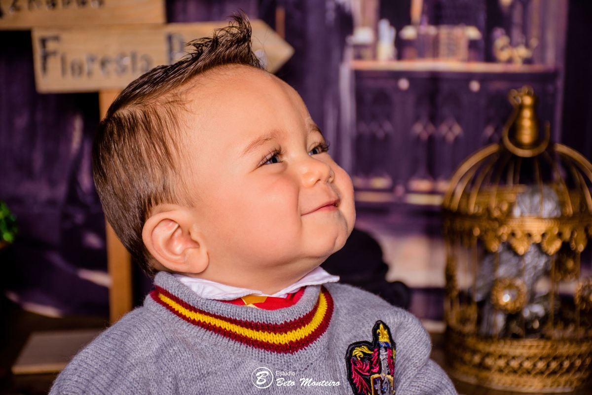 Book fotográfico Infantil - Book de fotos - Book de Criança - Book de Bebê - Book Menina - Book Menino - Book 1 ano -Estúdio Beto Monteiro - Curitiba - smash the cake - harry potter - Noah