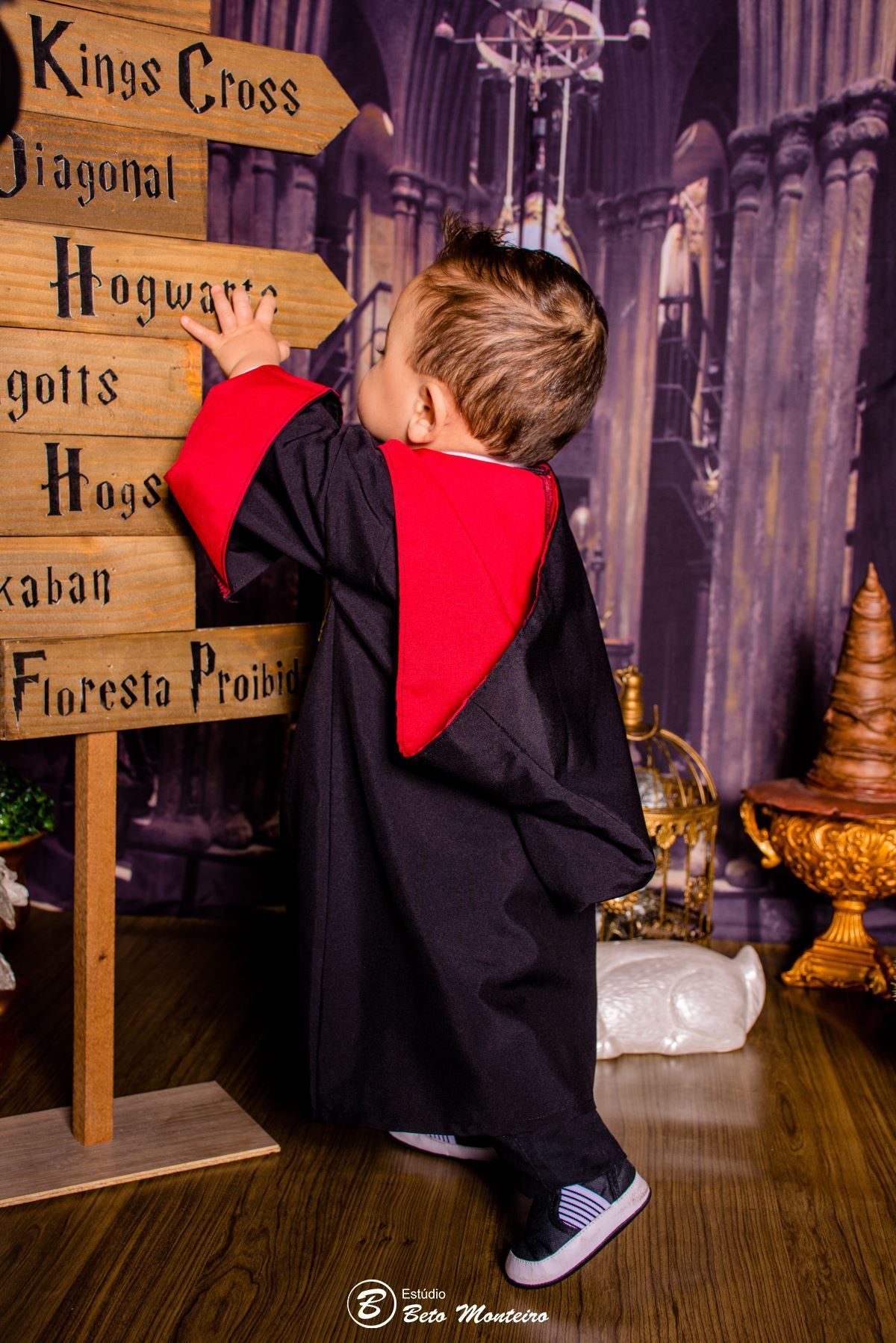 Book fotográfico Infantil - Book de fotos - Book de Criança - Book de Bebê - Book Menina - Book Menino - Book 1 ano -Estúdio Beto Monteiro - Curitiba - smash the cake - harry potter - Noah