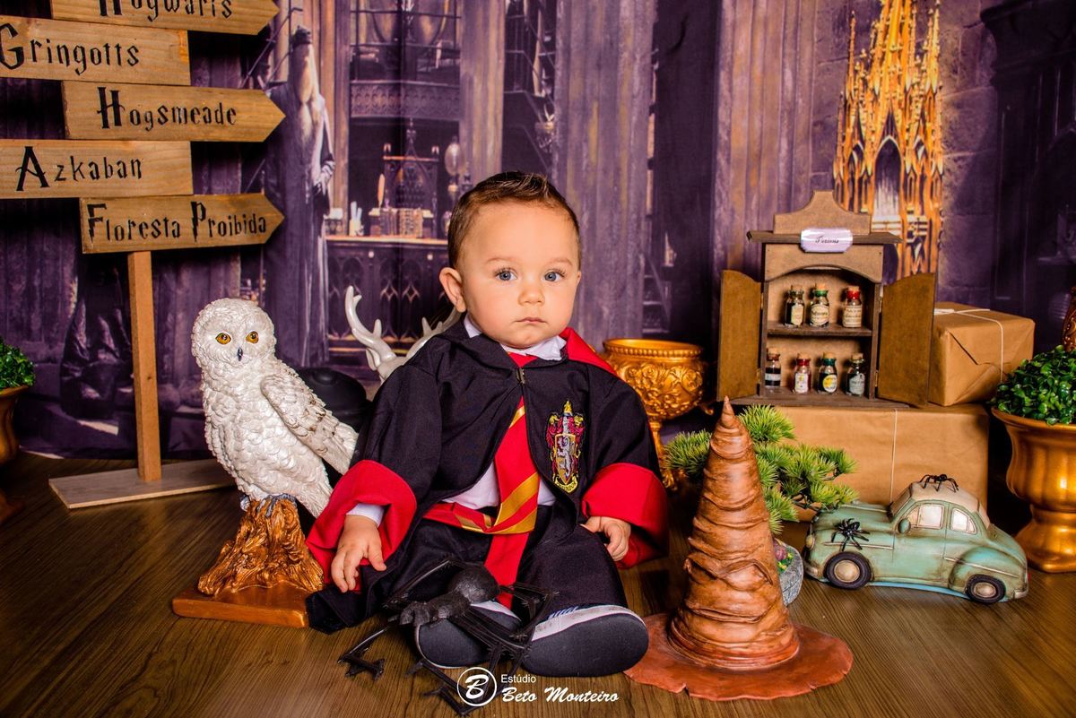 Book fotográfico Infantil - Book de fotos - Book de Criança - Book de Bebê - Book Menina - Book Menino - Book 1 ano -Estúdio Beto Monteiro - Curitiba - smash the cake - harry potter - Noah
