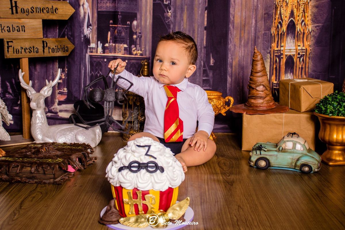 Book fotográfico Infantil - Book de fotos - Book de Criança - Book de Bebê - Book Menina - Book Menino - Book 1 ano -Estúdio Beto Monteiro - Curitiba - smash the cake - harry potter - Noah