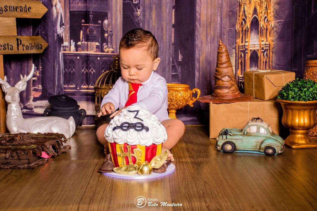 Book fotográfico Infantil - Book de fotos - Book de Criança - Book de Bebê - Book Menina - Book Menino - Book 1 ano -Estúdio Beto Monteiro - Curitiba - smash the cake - harry potter - Noah