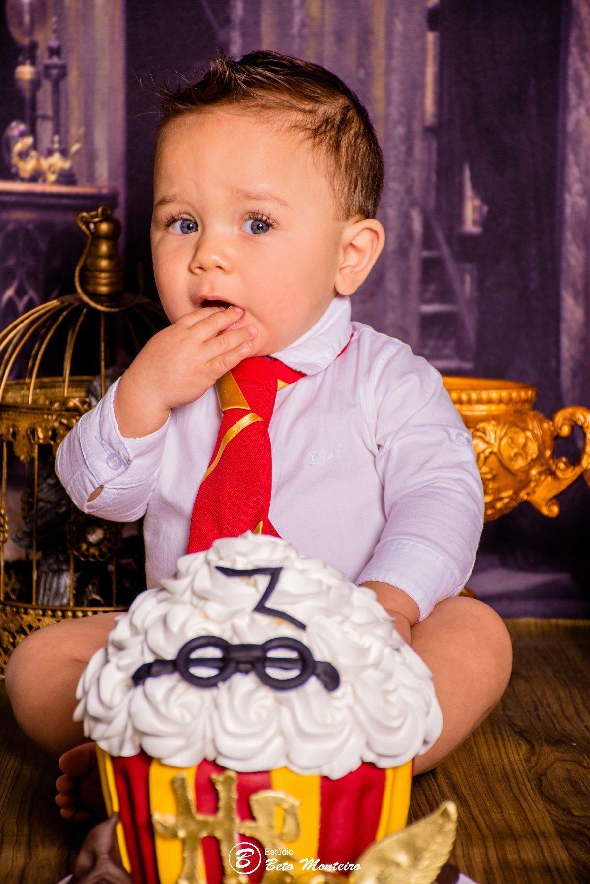 Book fotográfico Infantil - Book de fotos - Book de Criança - Book de Bebê - Book Menina - Book Menino - Book 1 ano -Estúdio Beto Monteiro - Curitiba - smash the cake - harry potter - Noah