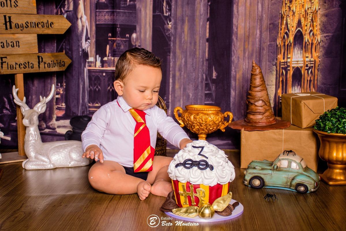 Book fotográfico Infantil - Book de fotos - Book de Criança - Book de Bebê - Book Menina - Book Menino - Book 1 ano -Estúdio Beto Monteiro - Curitiba - smash the cake - harry potter - Noah